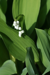 Similar image 655715