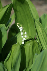 Similar image 655719