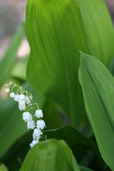 Similar image 655723