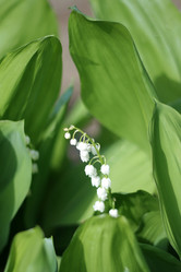 Similar image 655725