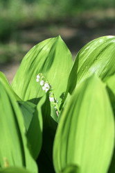 Similar image 655727