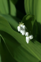 Similar image 655729