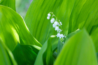 Similar image 655730