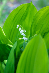 Similar image 655731