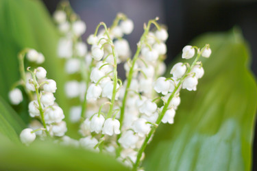 Similar image 655732