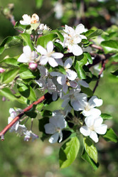 Similar image 655733