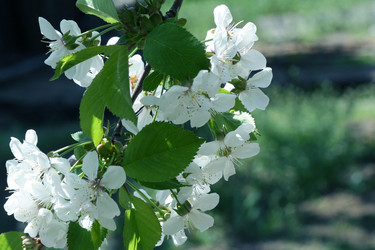 Similar image 655736