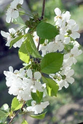 Similar image 655737