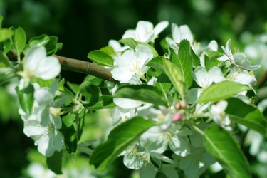 Similar image 655739