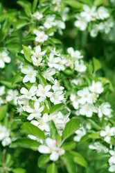 Similar image 655741