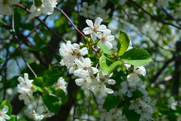 Similar image 655746