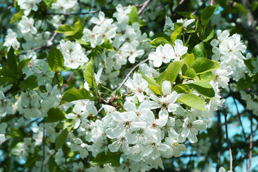 Similar image 655748