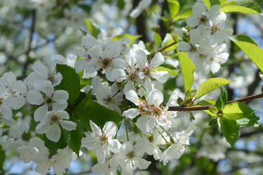 Similar image 655751