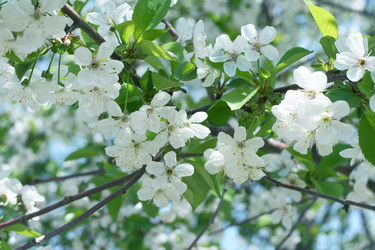 Similar image 655752