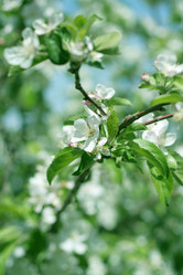 Similar image 655754