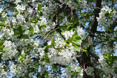 Similar image 655757