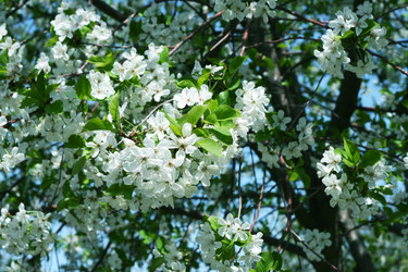 Similar image 655759