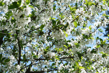 Similar image 655760