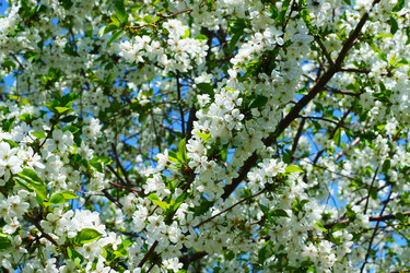 Similar image 655761