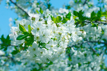 Similar image 655765