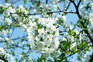 Similar image 655766