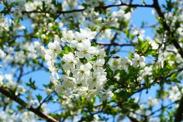 Similar image 655769