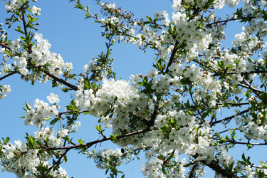 Similar image 655775