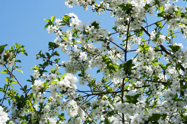 Similar image 655776