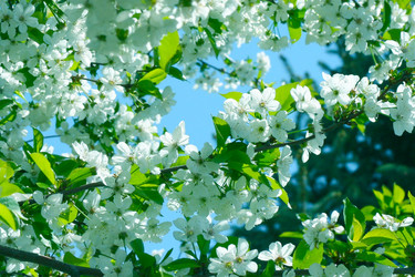 Similar image 655777