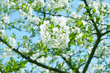 Similar image 655779