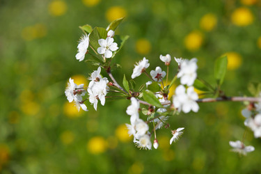 Similar image 655793