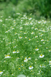 Similar image 655795