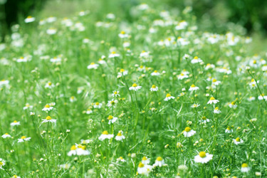 Similar image 655797