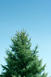 Similar image 655801