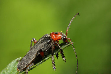 Similar image 655851