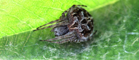 Similar image 655860