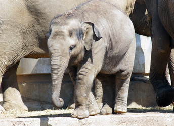 Similar image 655873