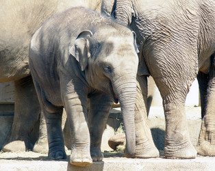 Similar image 655874