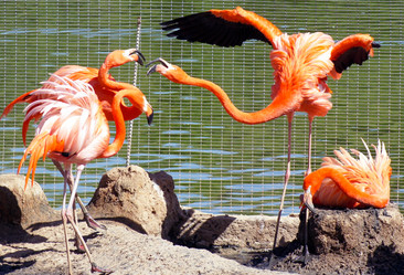 Similar image 655909