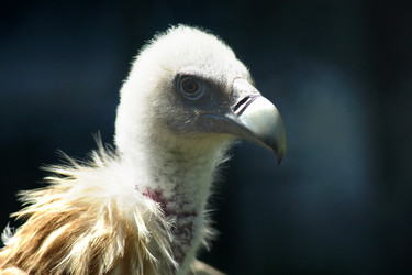 Similar image 655911