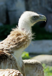 Similar image 655912