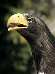 Similar image 655915