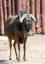 Similar image 655921