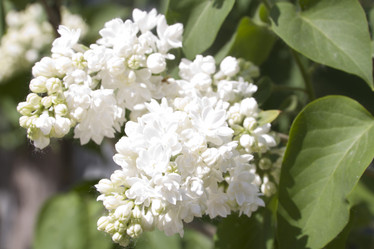 Similar image 655925