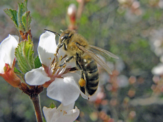 Similar image 655931