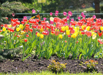 Similar image 656002