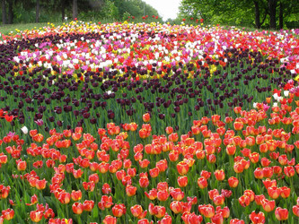 Similar image 656005