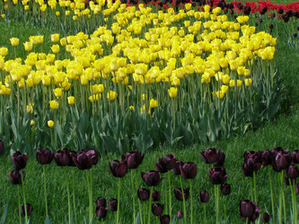 Similar image 656007