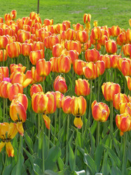 Similar image 656008