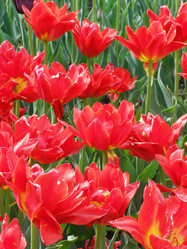 Similar image 656009